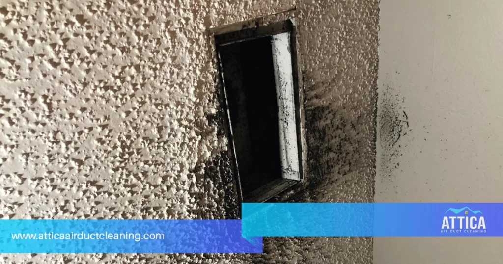 Professional duct cleaning services show a captured image of a dirty duct.